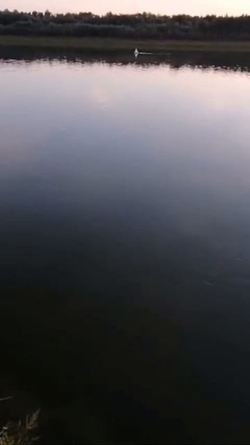 Иртыш 2023. Видео на канале