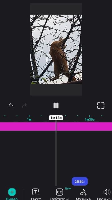 пишите название моего ТГ у кого будет больше всего лайков и мемности тот и выйграл
