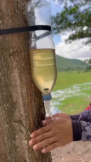 Как сделать уличный умывальник и другие идеи для дачи