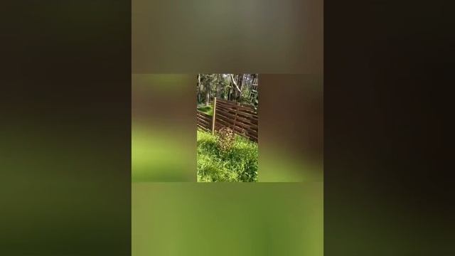 Олекминск-Горный Алтай.mp4
