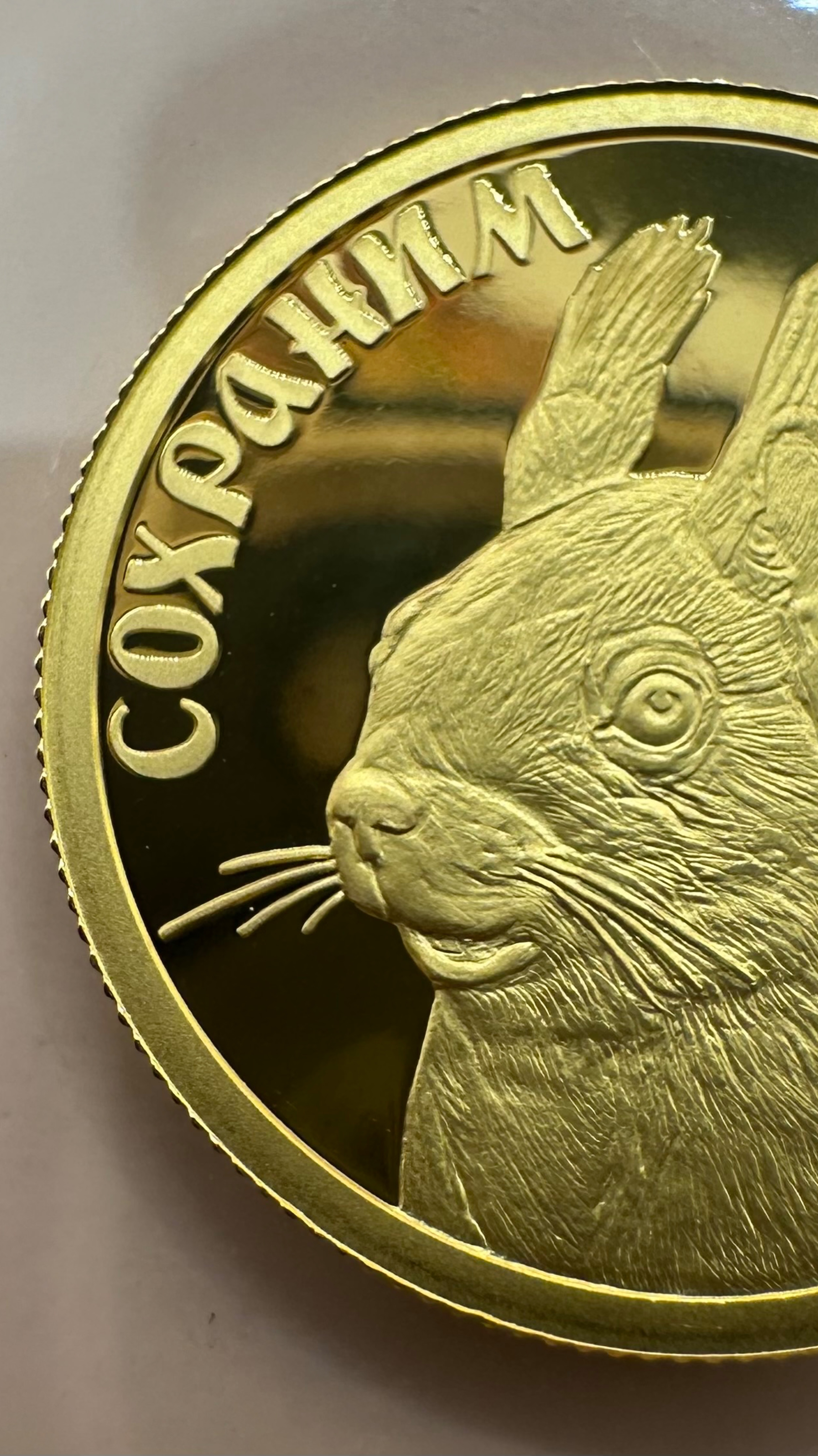 50 рублей 2023 гБелка