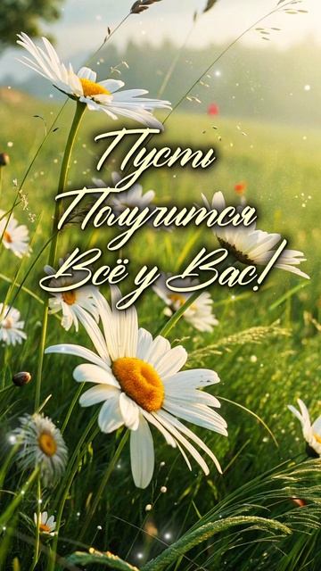 #понедельник #доброеутро