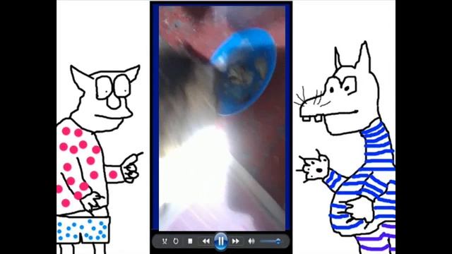 Мультик. Серый Волк смотрит смешную анимацию. Мультик про кота.