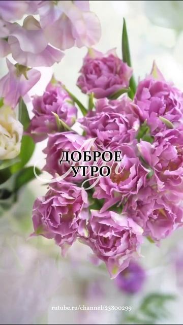 Доброе утро