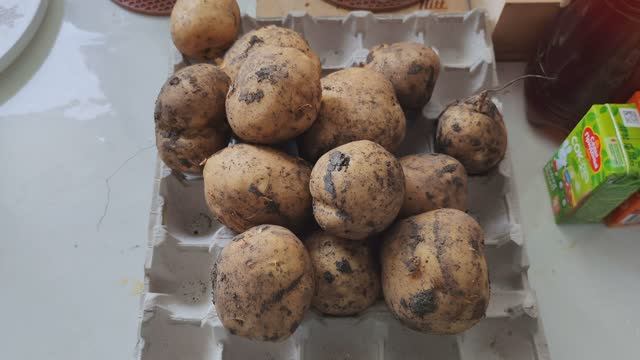 Картошка со своего огорода, счастливая жизнь в деревне