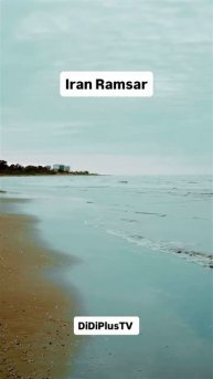 #iran #иран #tehran #тегеран #travel #shorts #путешествия #food #music #ramsar #DiDiPlusTV