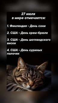 27 июля в мире отмечается #врек #вленту #популярное #праздник #празднуетпланета #июль