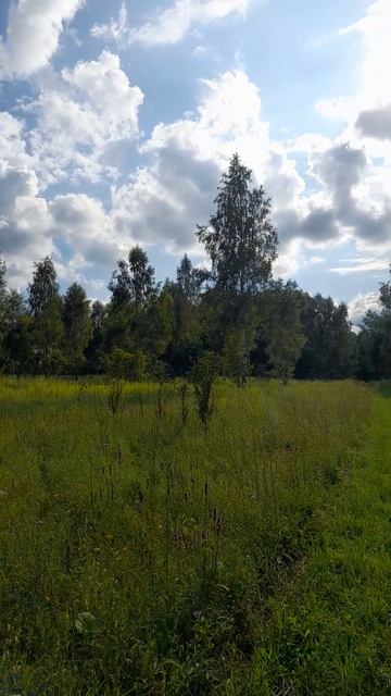 пейзаж