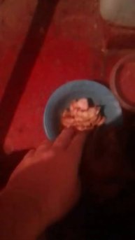 Весёлый котик просит курочку покушать. Кормлю его перед сном