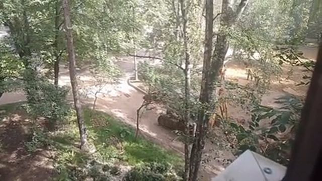 Благоустройство двора.