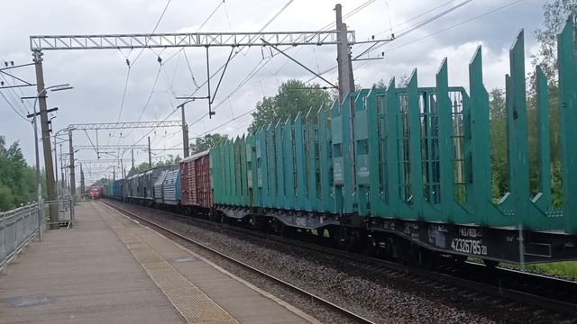 Поезда в Июне Растительное локомотив Октябрьская Железная дорога Перегон Мга - Назия Часть 1