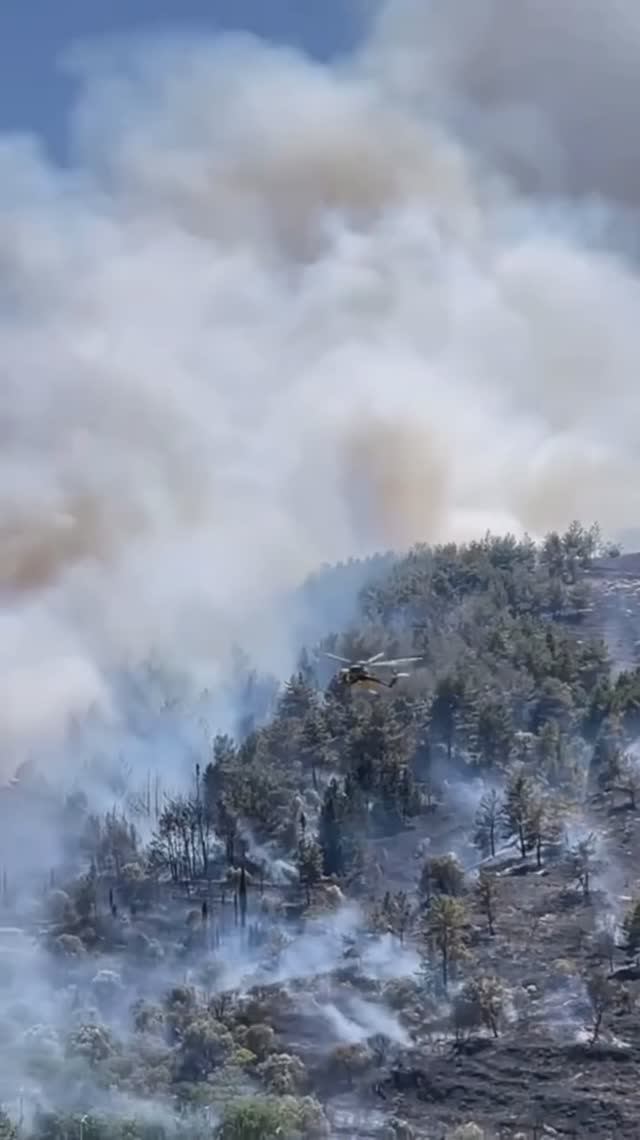 ЖАРА И ПОЖАРЫ. ТУРЦИЯ 2025.