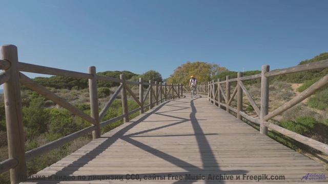 Один трек и один вид - в этом видео всё сводится в единую гармонию - Marigold -- Evan Schaeffer -- A