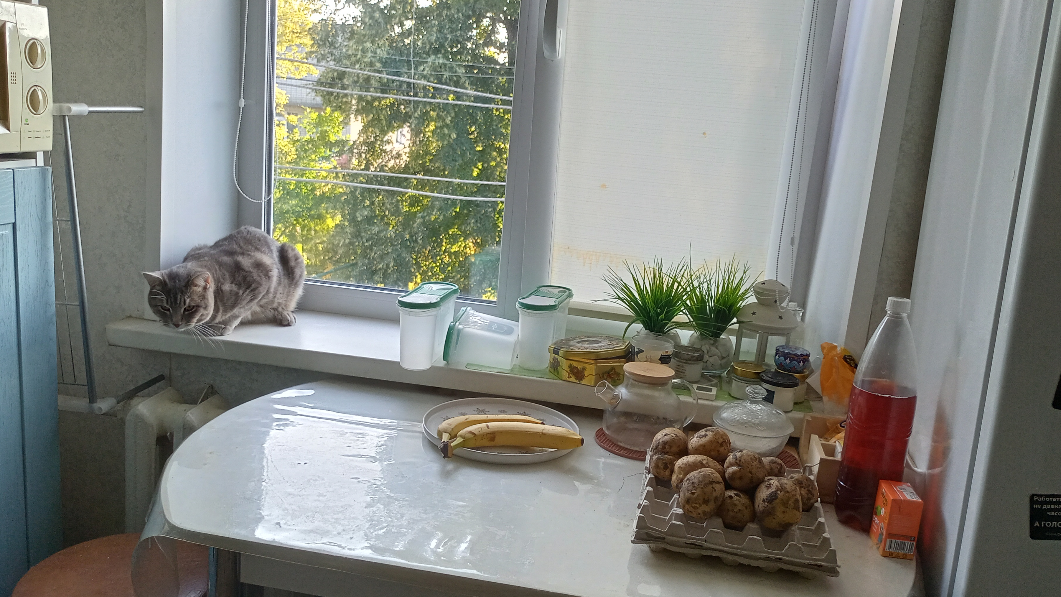 уютный вечер выходных в деревне