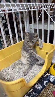 Продолжай... Я заинтригован !