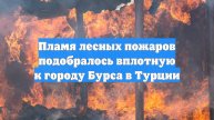 Пламя лесных пожаров подобралось вплотную к городу Бурса в Турции
