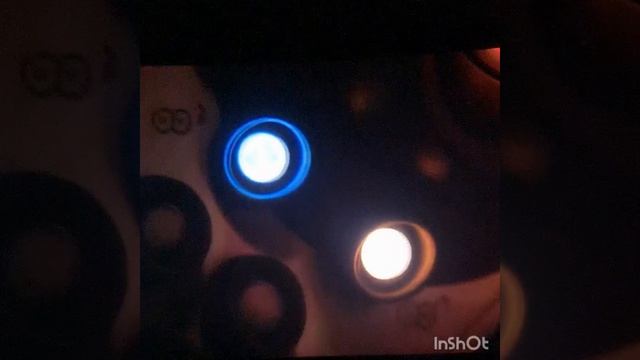 Сходили в Кино