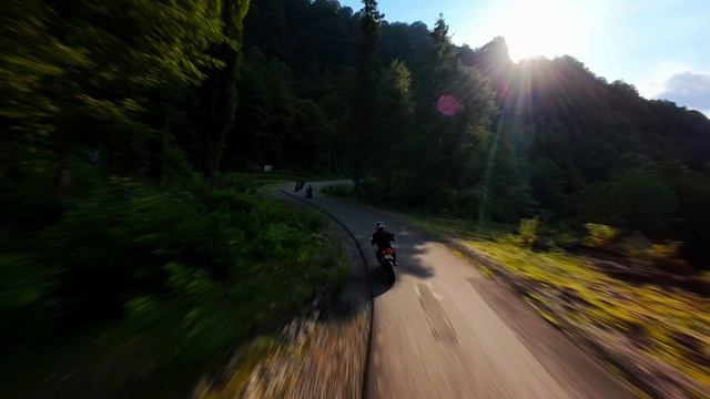 Сыны Абхазии