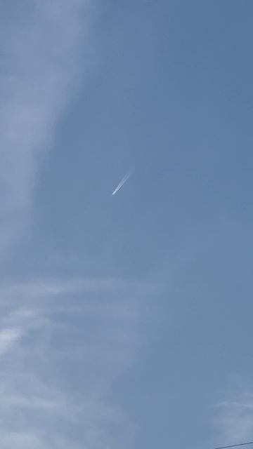 Беспилотники в Тамбове