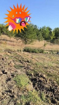 Засуха в Крыму 2025 #Shorts