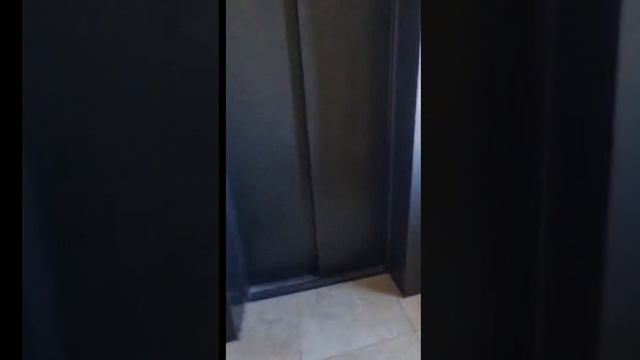 Красиво! Лифт МЛМ 2017 в ЖК "Ямайка"