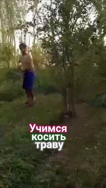 косим траву