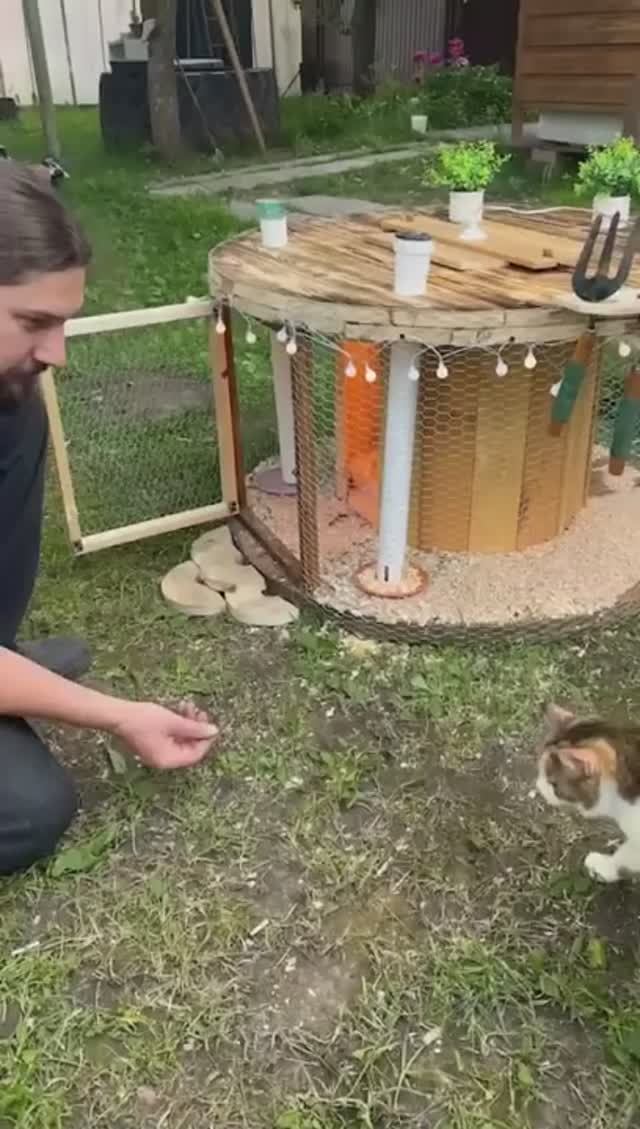 Гениальная идея - как просто сделать курятник