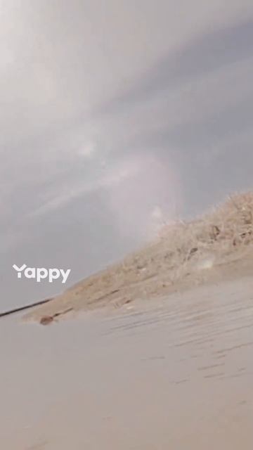 Сплав 2024. Река Сырдарья.