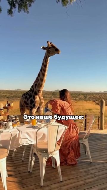 Может ты забыла, но это наше будущее