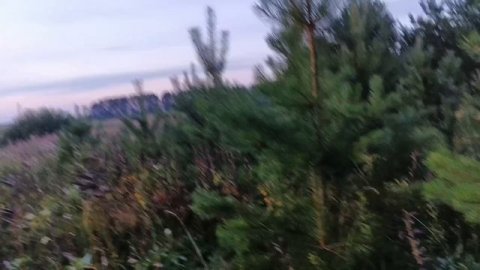 27.07.25. кража пчел с кочевки!!! забираю рой!