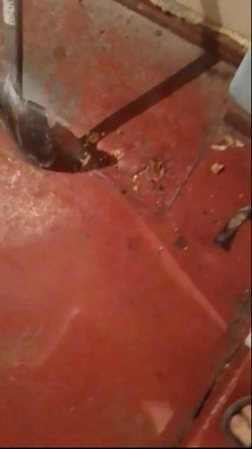 Котик Мурципан увидел, что Барсик-кулинар это кибер-повар