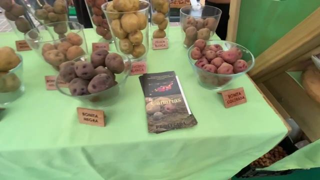 Тенерифе. Праздник картошки в Лос Реалехос