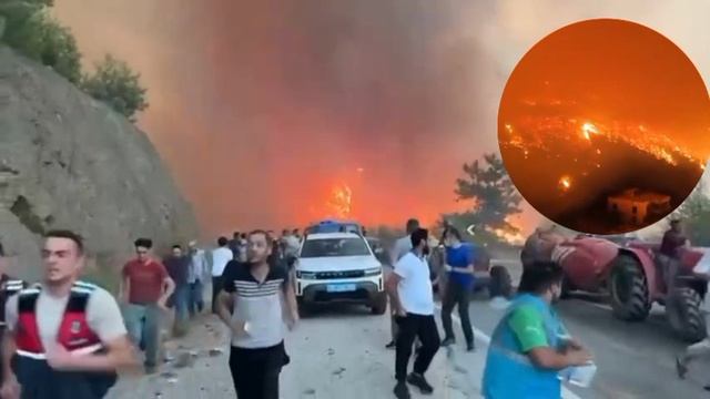 Огонь от лесного пожара подбирается к жилым домам в турецком городе Бурса.