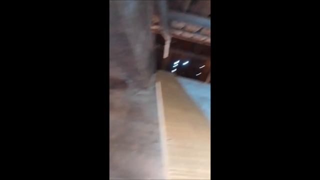 Где котик? На крыше. Хочу покормить, но котик не может сам слезть с крыши.