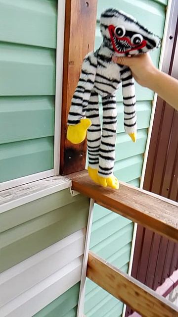 игра в хаги