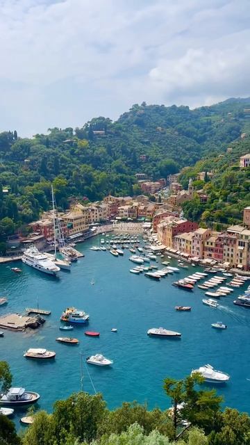 2025_03_12_17_20_IMG_0239