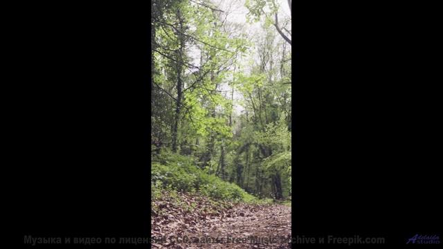 Когда природа встречается с музыкой, результат удивляет даже самый искушённый вкус - Drawing Mazes -