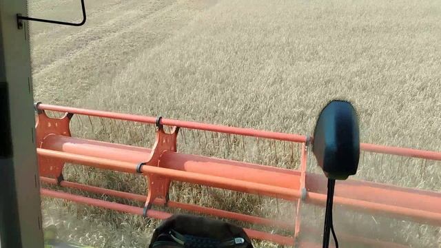 Первый день в поле 🌾🌾🌾