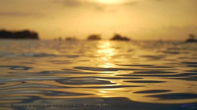 Илон Маск ставит это видео на репит - и мы знаем причину! - In Love -- Daniel Birch -- Stargazing