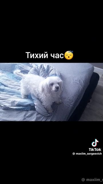 вторая работа