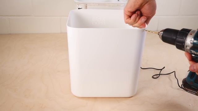 Hydroponic Zucchini - 2 month Timelapse