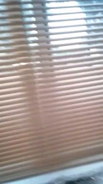 Кошачья шерсть недорого 🐱🤯🙀