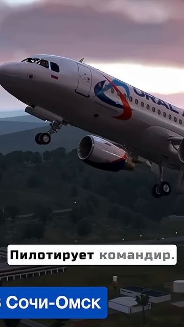 Пшеничное чудо! Посадка А320 в поле