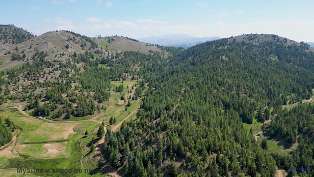 Смотри это и забудь о времени - ты будешь в плену гармонии - Stages Of Awakening -- Podington Bear -