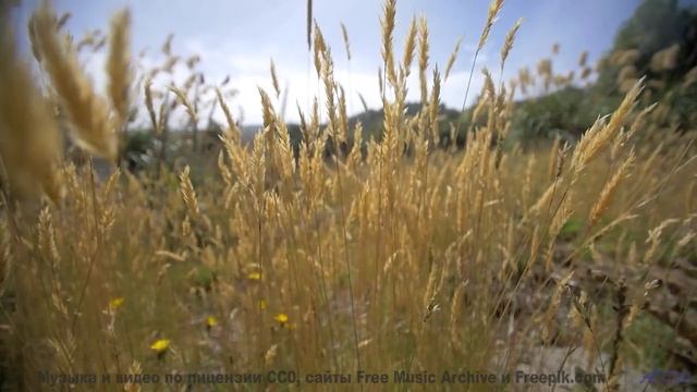 Эта композиция - как объятие, которое длится вечность! - A new puzzle -- Expendable Friend -- The Ti