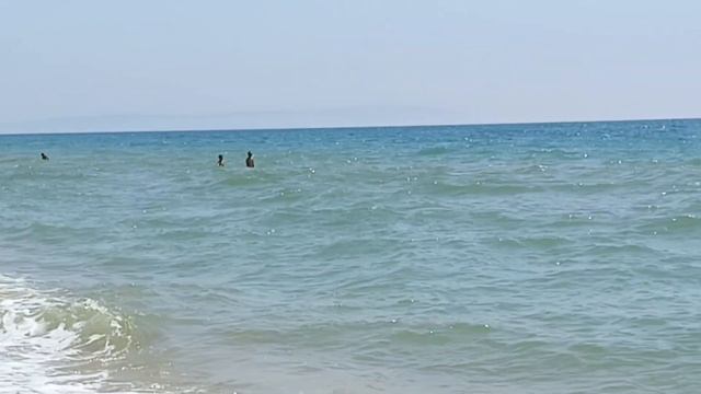 Пляжный аврал в Благовещенке под Анапой