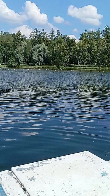 День рождения.