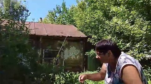 У бабушки в деревне, собираем ягоды 28-07-2025