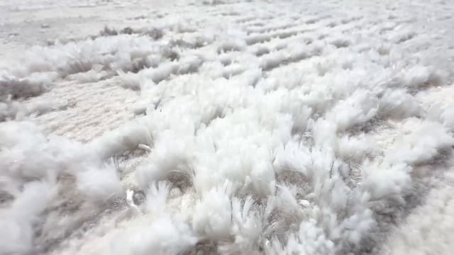 Vera 7421_DG51 L.GriGrey