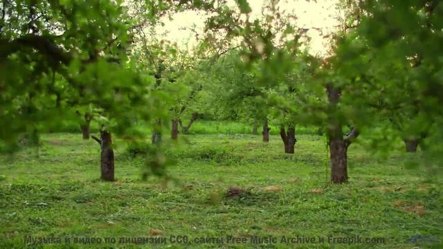 Секрет идеального релакса - здесь! - Creepy Story -- Omura -- The Whales Bay